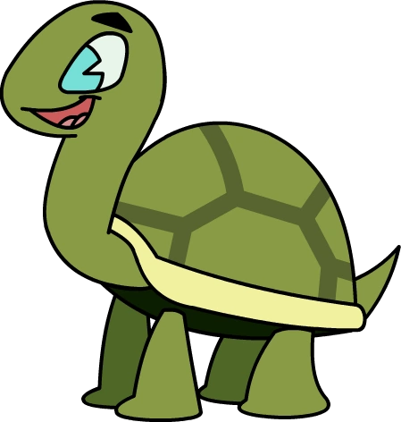 The Looney Turtle